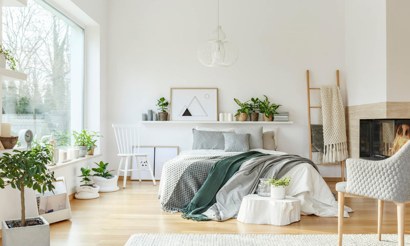 Beautiful-natural-room-image-mattress-xperts