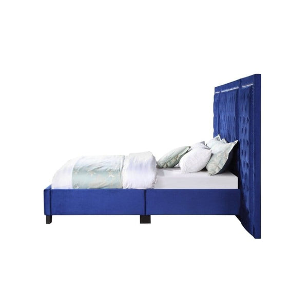 Acme Blue Upholstered Modern Wall Bed Blue upholstered modern queen size bed  Mattress-Xperts-Florida