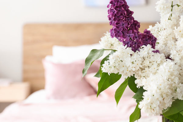 blog-post-image-sleep-better-with-plants-beautiful-flowers-in-the-foreground-of-a-bed-with-pink-sheets