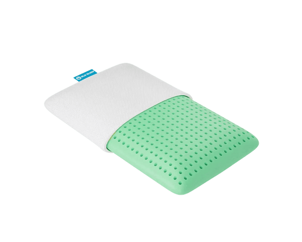 Blu Bio-Aloe Infused Pillow Bio-Aloe Infused Pillow | Blu Sleep  Mattress-Xperts-Florida