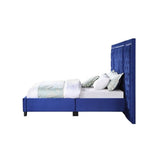 Acme Blue Upholstered Modern Wall Bed Blue upholstered modern queen size bed  Mattress-Xperts-Florida