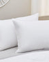 PlushBeds Goose Down Pillows Goose Down Pillows Medium Loft  Mattress-Xperts-Florida