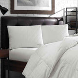 beddingbag.com Jumbo Quilted Micro-Liquiloft Pillows | Eddie Bauer Mattress-Xperts-Florida