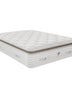 PlushBeds Latex Bliss Pillow Top Mattress Latex Bliss Pillow Top Mattress -Online Mattress-Xperts-Florida