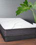 Biscayne Leisure Key Firm Mattress Mattress-Xperts-Florida