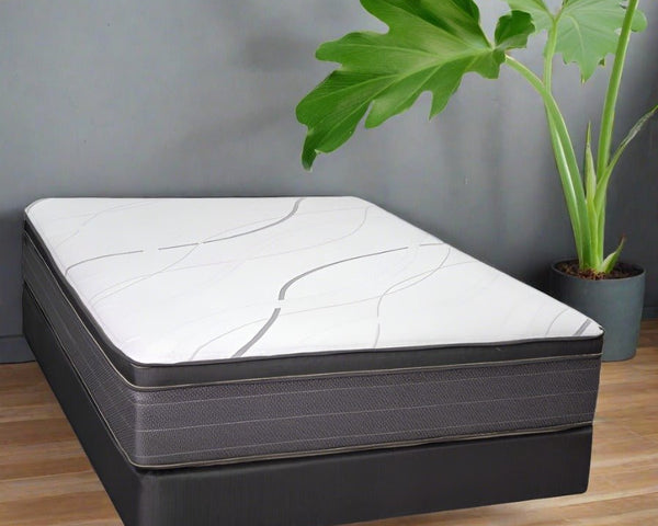 Biscayne Leisure Key Pillowtop Mattress Mattress-Xperts-Florida