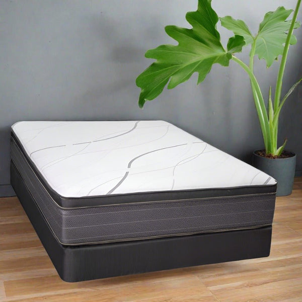 Biscayne Leisure Key Pillowtop Mattress Mattress-Xperts-Florida