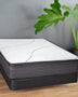 Biscayne Leisure Key Pillowtop Mattress Mattress-Xperts-Florida