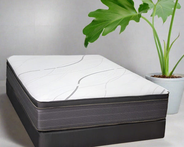 Biscayne Leisure Key Plush Mattress Mattress-Xperts-Florida