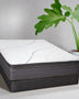 Biscayne Leisure Key Plush Mattress Mattress-Xperts-Florida