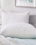 PlushBeds Natural Down Feather Pillows Mattress-Xperts-Florida