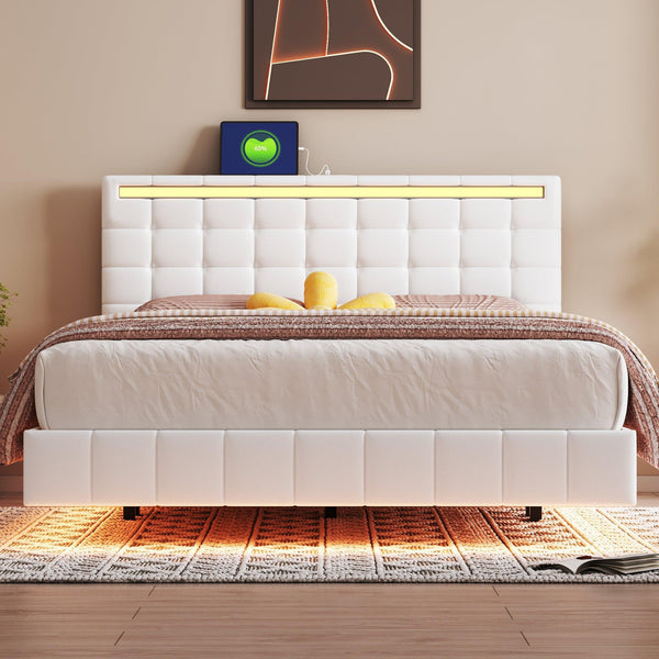Floating Bed with LED Lights3HOME OEING Store Store