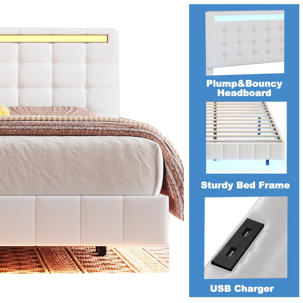 HOME OEING Store Store Queen Floating Bed Frame with LED Lights Mattress-Xperts-Florida