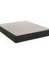 Sealy Sealy Foundation (Box Spring) 8" or 5" Sealy Boxspring Mattress Foundation in Fort Lauderdale Mattress-Xperts-Florida