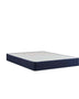 Stearns and Foster Stearns & Foster Foundation Stearns & Foster| Mattress Boxspring Foundation  Mattress-Xperts-Florida