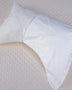 PlushBeds Wool Side Sleeper Pillow Wool Side Sleeping Pillow Mattress-Xperts-Florida